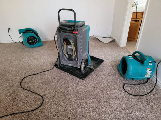 Best Flooded house restoration  in Encinitas, CA