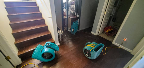 Best Water damage restoration near me  in Encinitas, CA