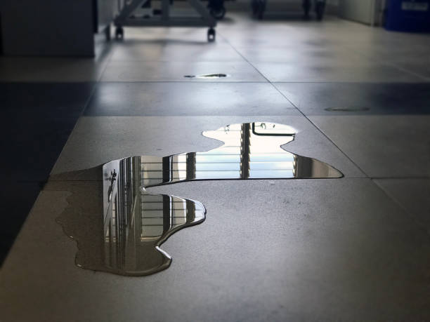 Best Water damage restoration process  in Encinitas, CA