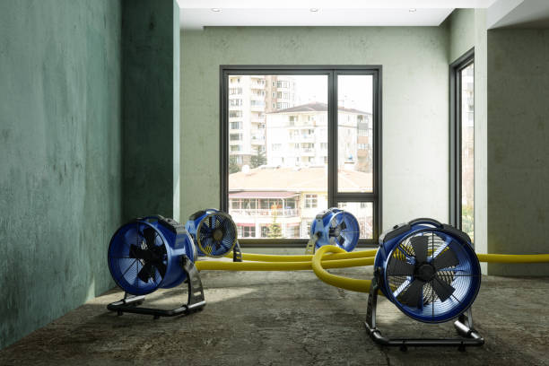 Best Carpet water damage restoration  in Encinitas, CA