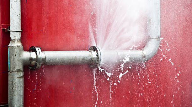 Best Ceiling water damage repair  in Encinitas, CA